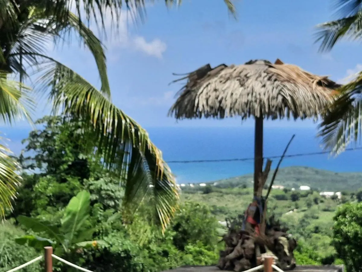 Studio Saty Apartment Le Diamant Martinique